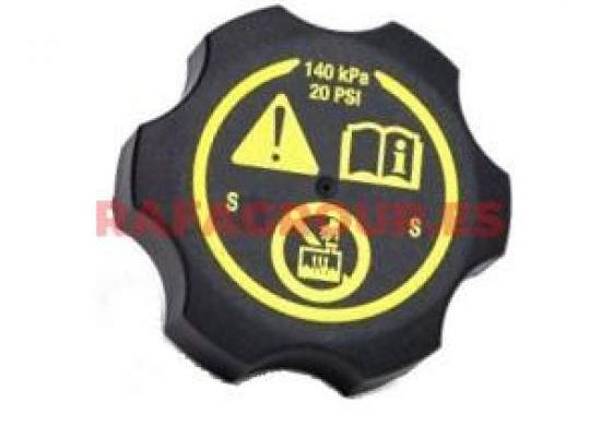 RG15212 - Cap, coolant tank